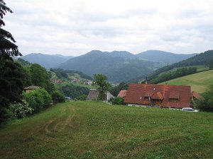 Schwarzwald_153