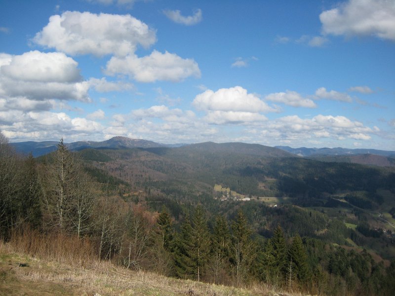 Ausblick