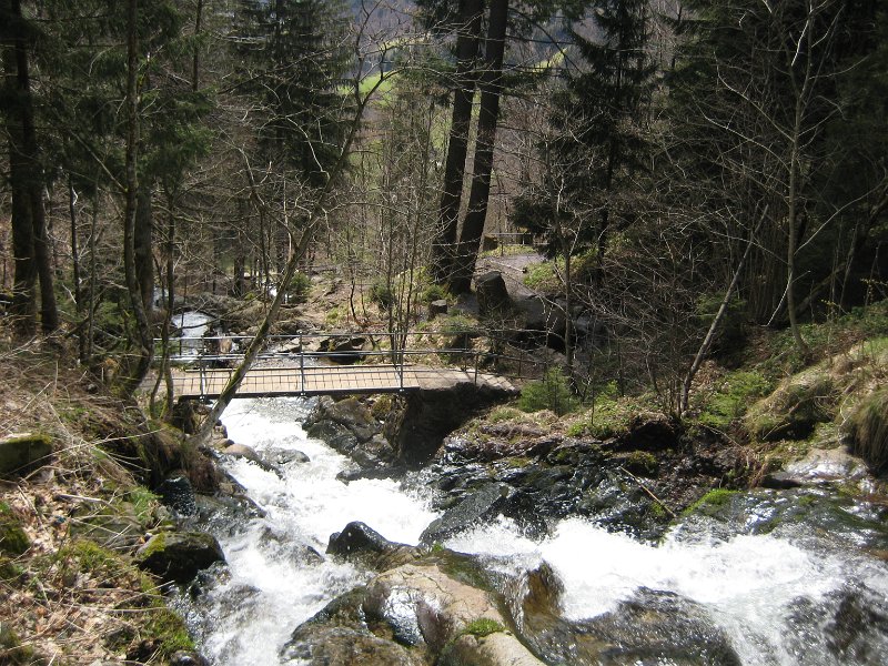Bewegung