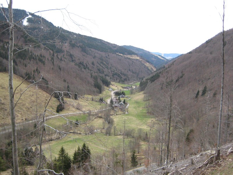 Blick-zurueck