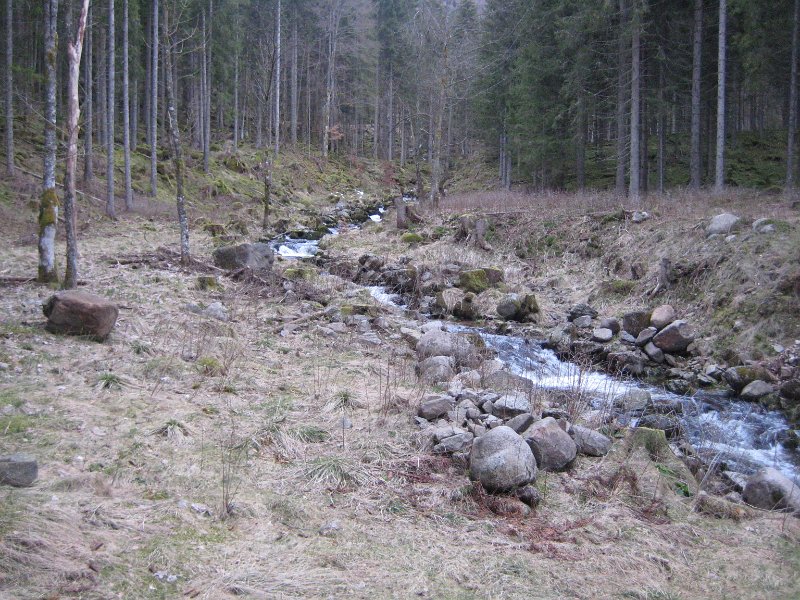Fruehlingsanfang