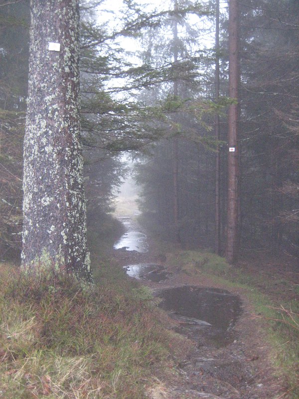 Matschweg