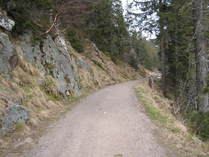 Schluchsee-Weg