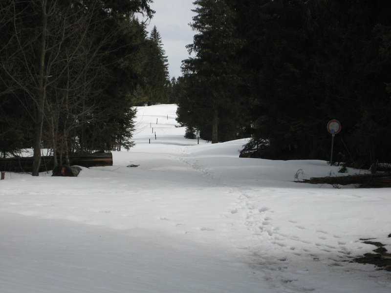 Schnee-satt