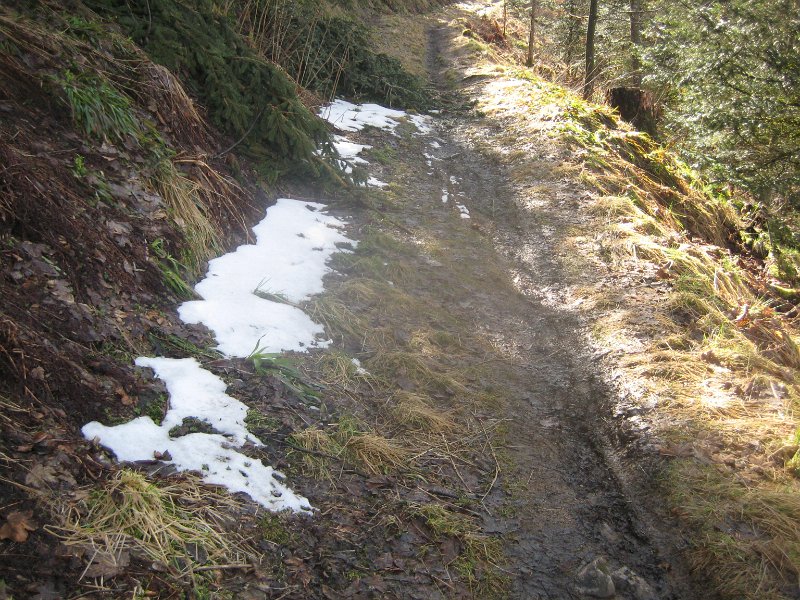 Schnee