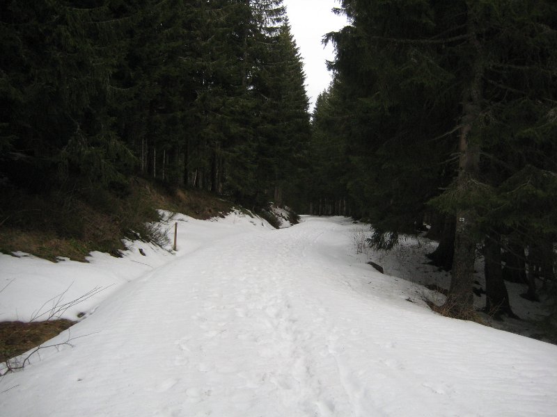Schneeweg