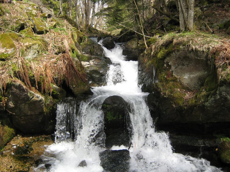 Todtnauer-Wasserfall