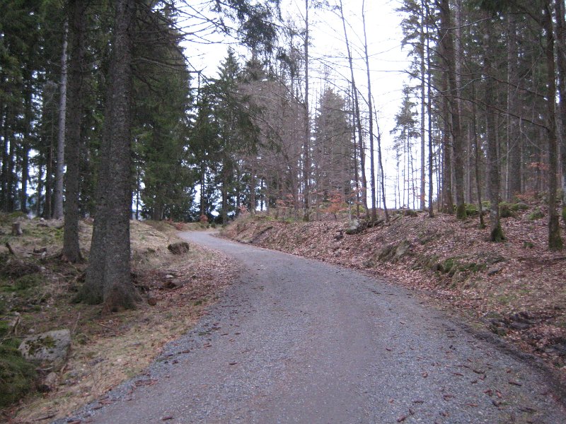 Waldweg