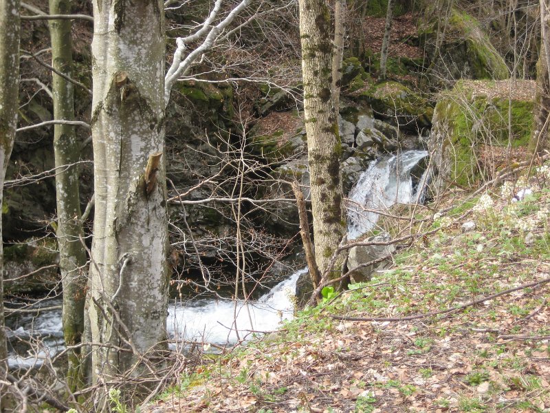 Wegesrand