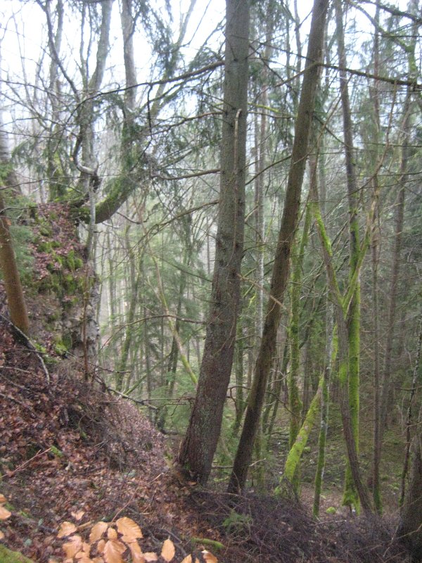 Wutachschlucht