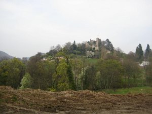Burgruine
