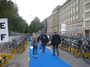 IMG_1303